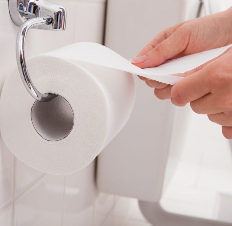 Toilet Paper 2 Ply Delux Unwrapped 48 Pack Alberton Hardware Online Store