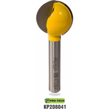 KP208041